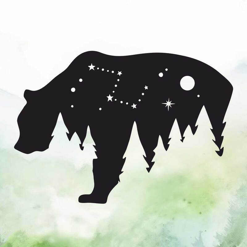 Bear with night sky vinyl decal